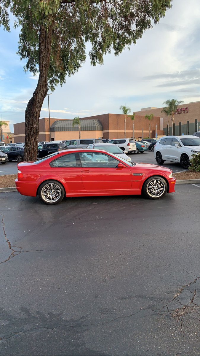 ___Magnus's tweet image. the needle in the haystack