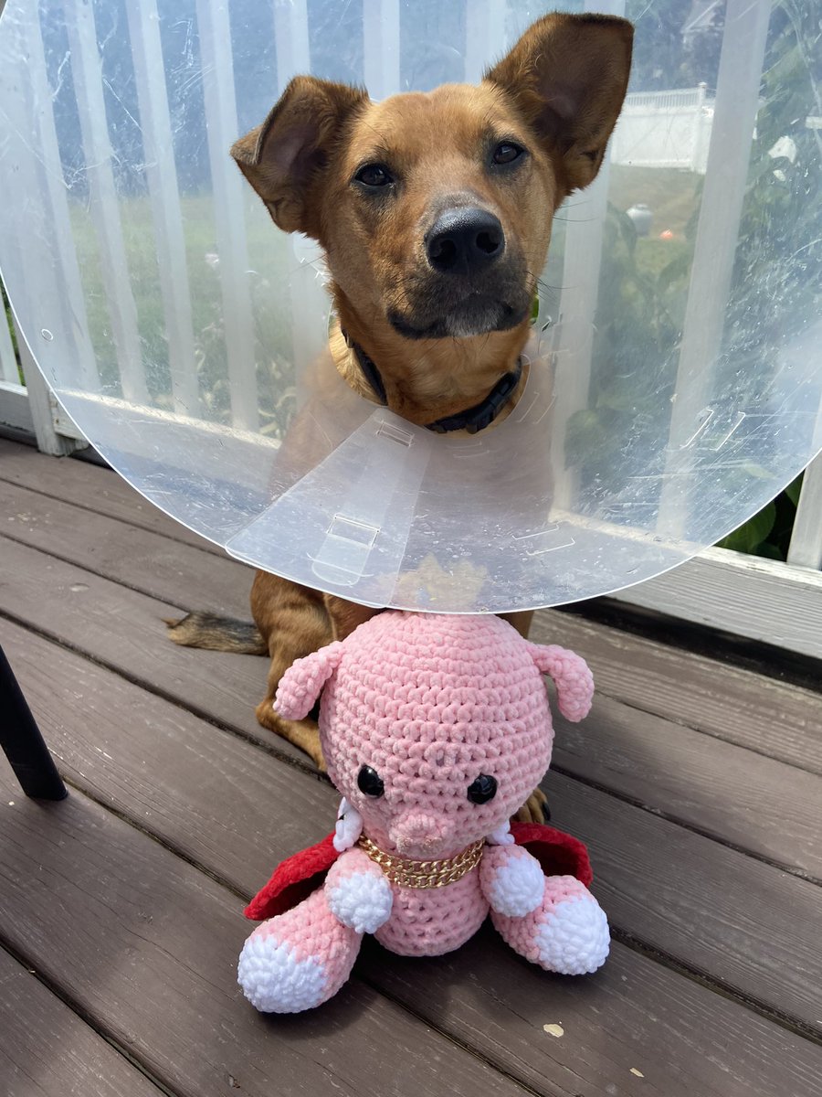 NickieDarling ||👑🐷 tweet media