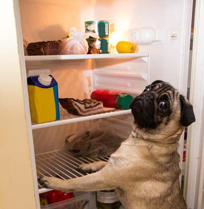 MS_SPAN's tweet photo. We are in need of a used or new full-sized refrigerator! Vaccines must be refrigerated, and our fridge has gone out. We are temporarily using our break room fridge.
Please let us know if you have a fridge you are able to part with! https://t.co/2dFrujCJO4
