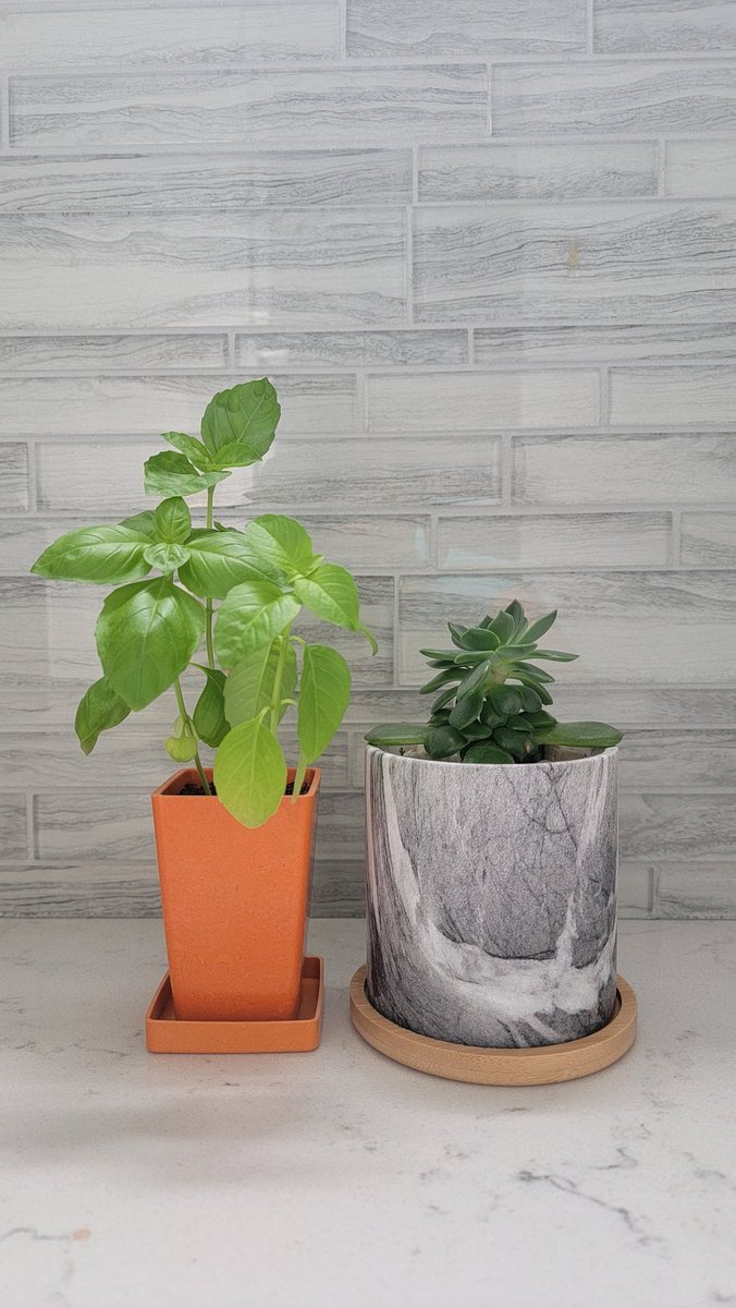 Ashleigh Lee tweet media