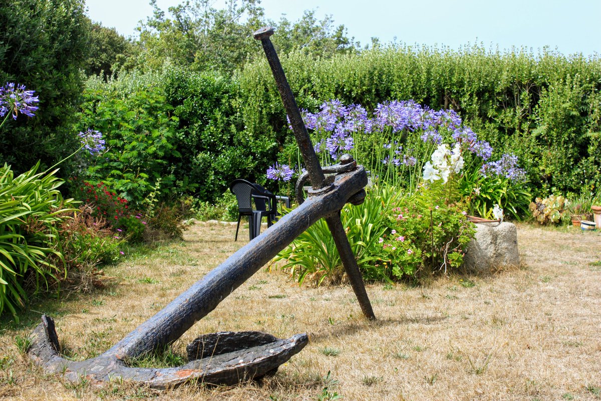 Peter Akrill tweet media