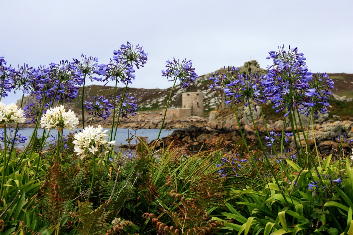 Peter Akrill tweet media