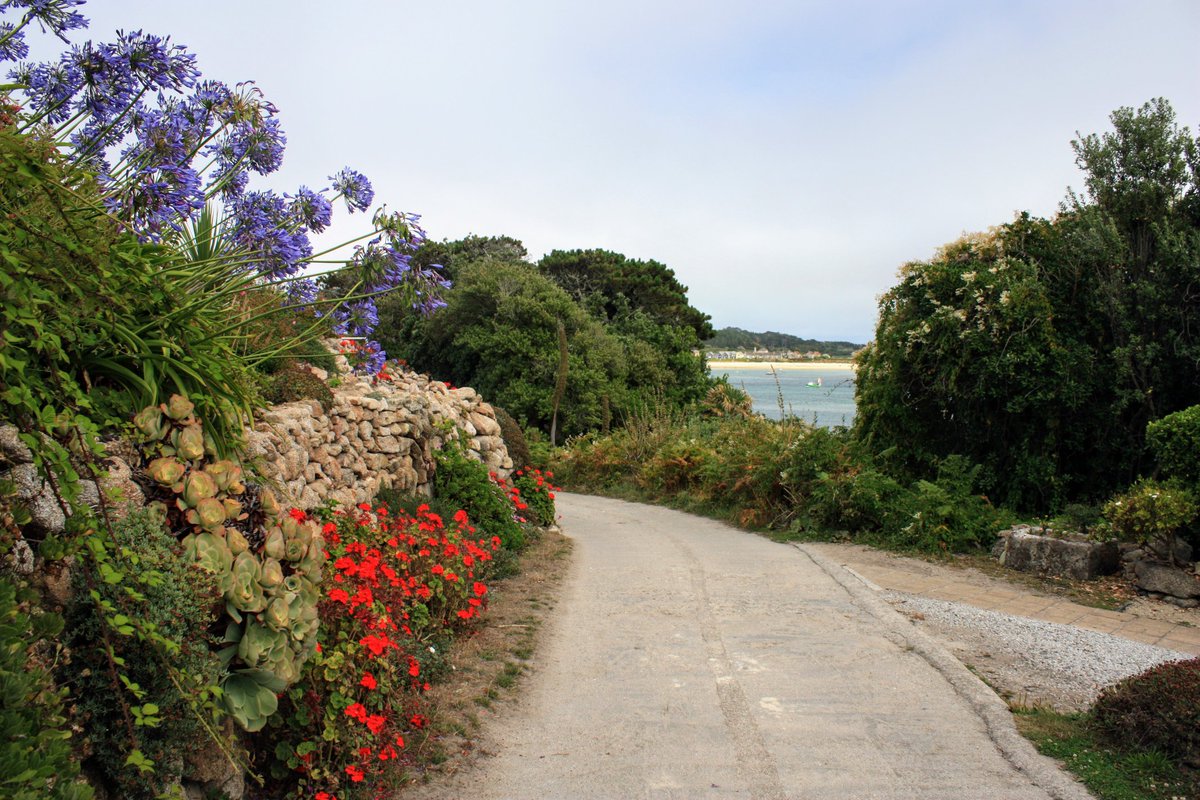 Peter Akrill tweet media