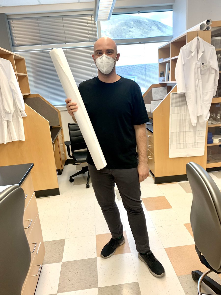 @simone_chiola90 is excited to present his work on modeling GRIN2B deficiency <a href="/NeuralDevGRC/">Neural Development Gordon Research Conference</a> next week!