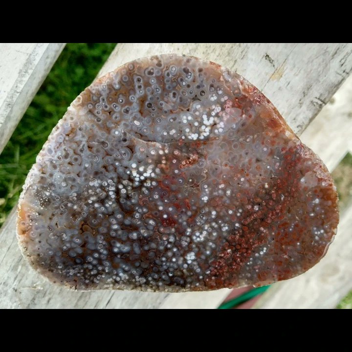 Here are photos of the orbicular agate I cut last Saturday. They are not the best and it's not perfect, however the best pieces in my experience never are aesthetically, their imperfections only add to the awe and mystery. 112mm, whole it weighed 2lb 13oz.