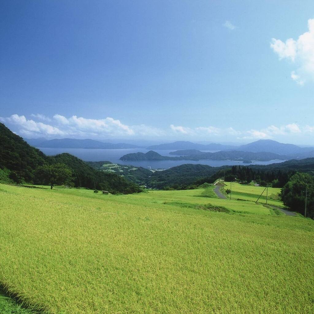 The Japanese Pantry tweet media