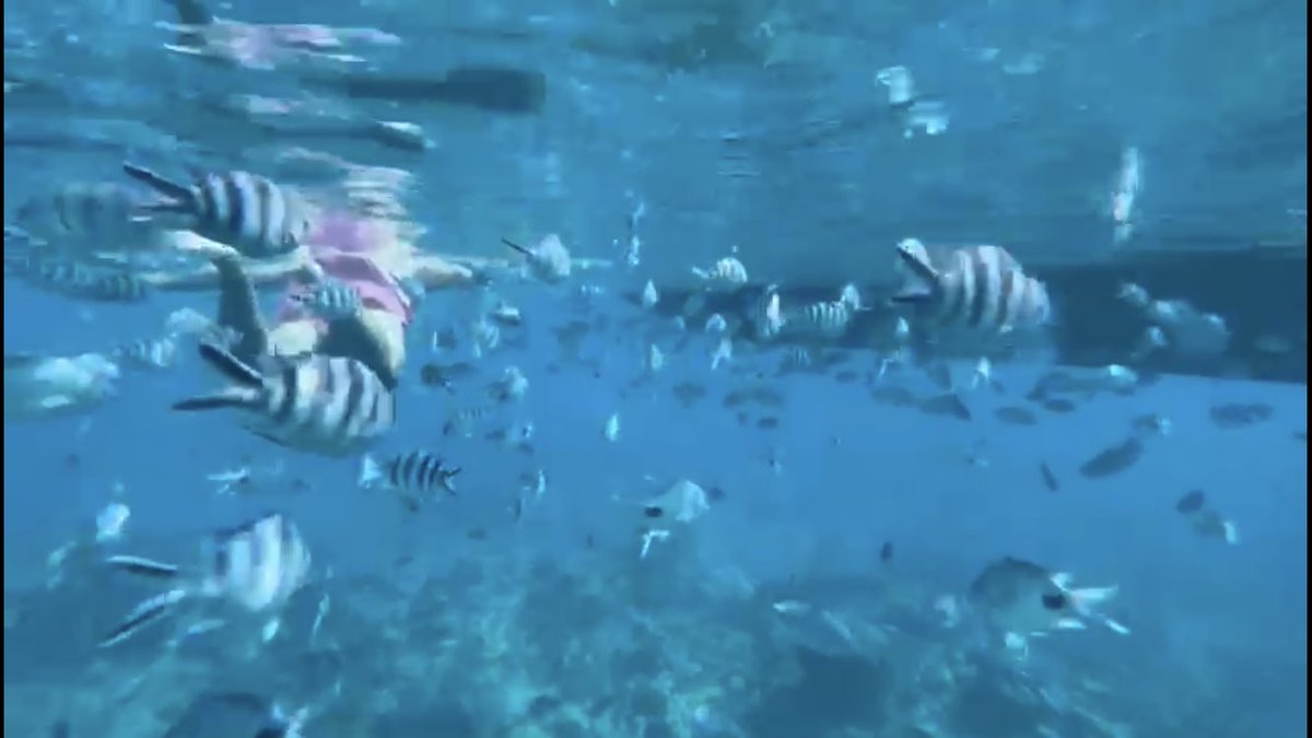 Chris Hunt tweet media