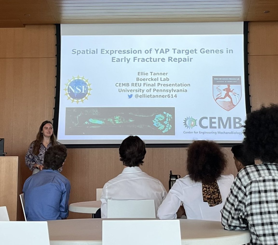 Ellie Tanner tweet media