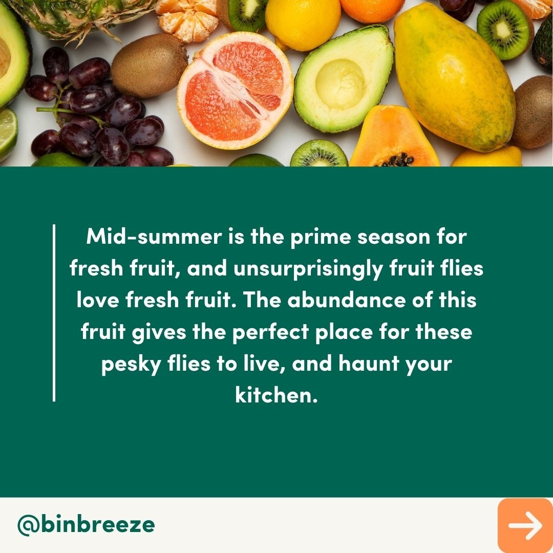 BinBreeze tweet media