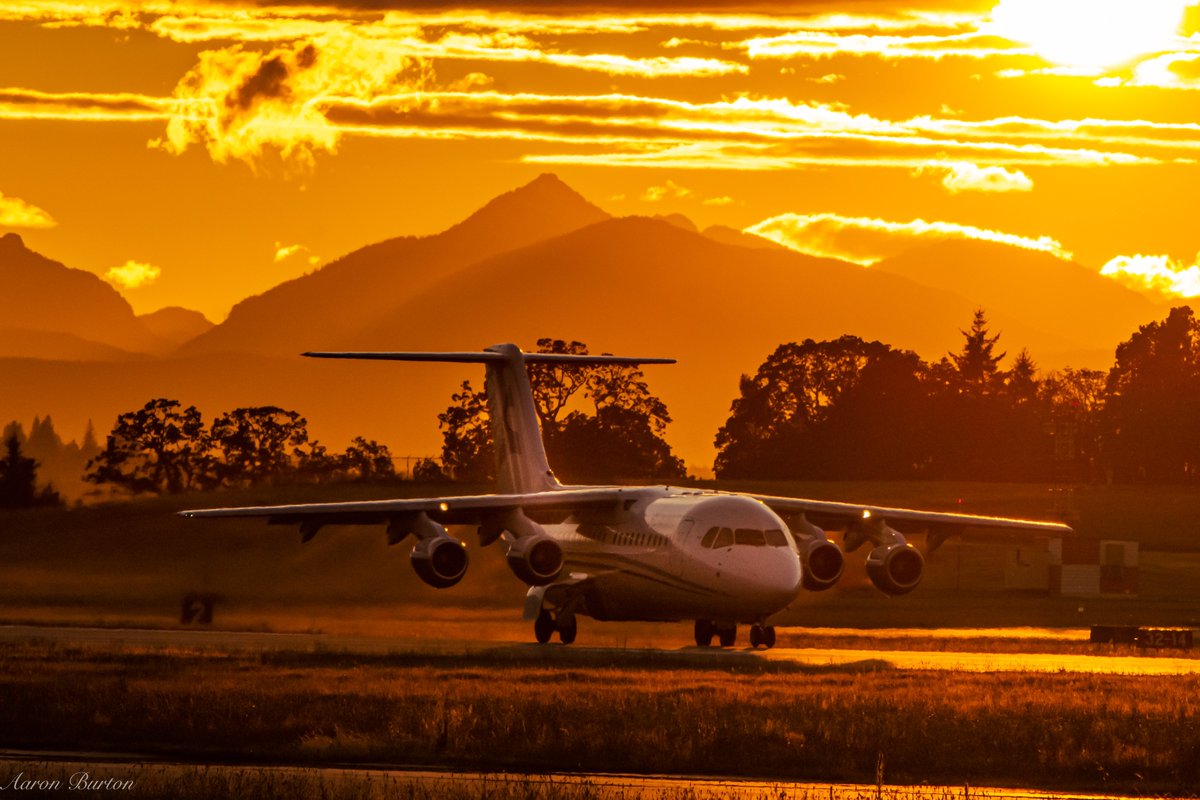 Fly_SummitAir's tweet photo. Have you ever seen a prettier sunset? Our Avro RJ100 ready for takeoff into the golden skies from YYJ (Victoria) to YYC (Calgary).
#SummitAir #FlySummitAir #AvroRJ #Victoria #Calgary #SummerSkies
๐ธ : Aaron, @burtonader https://t.co/T3iTt6dExQ