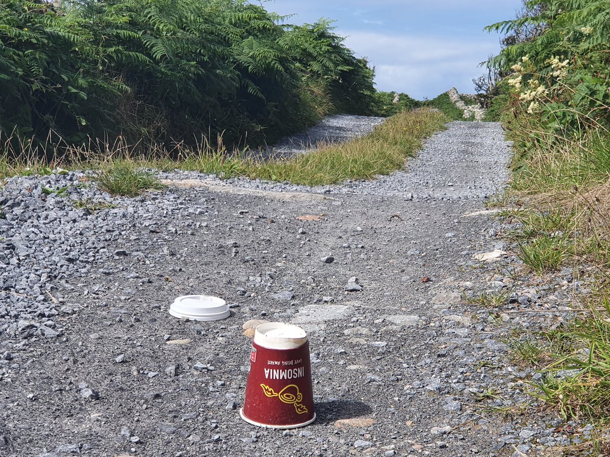 Margaret Leahy tweet media