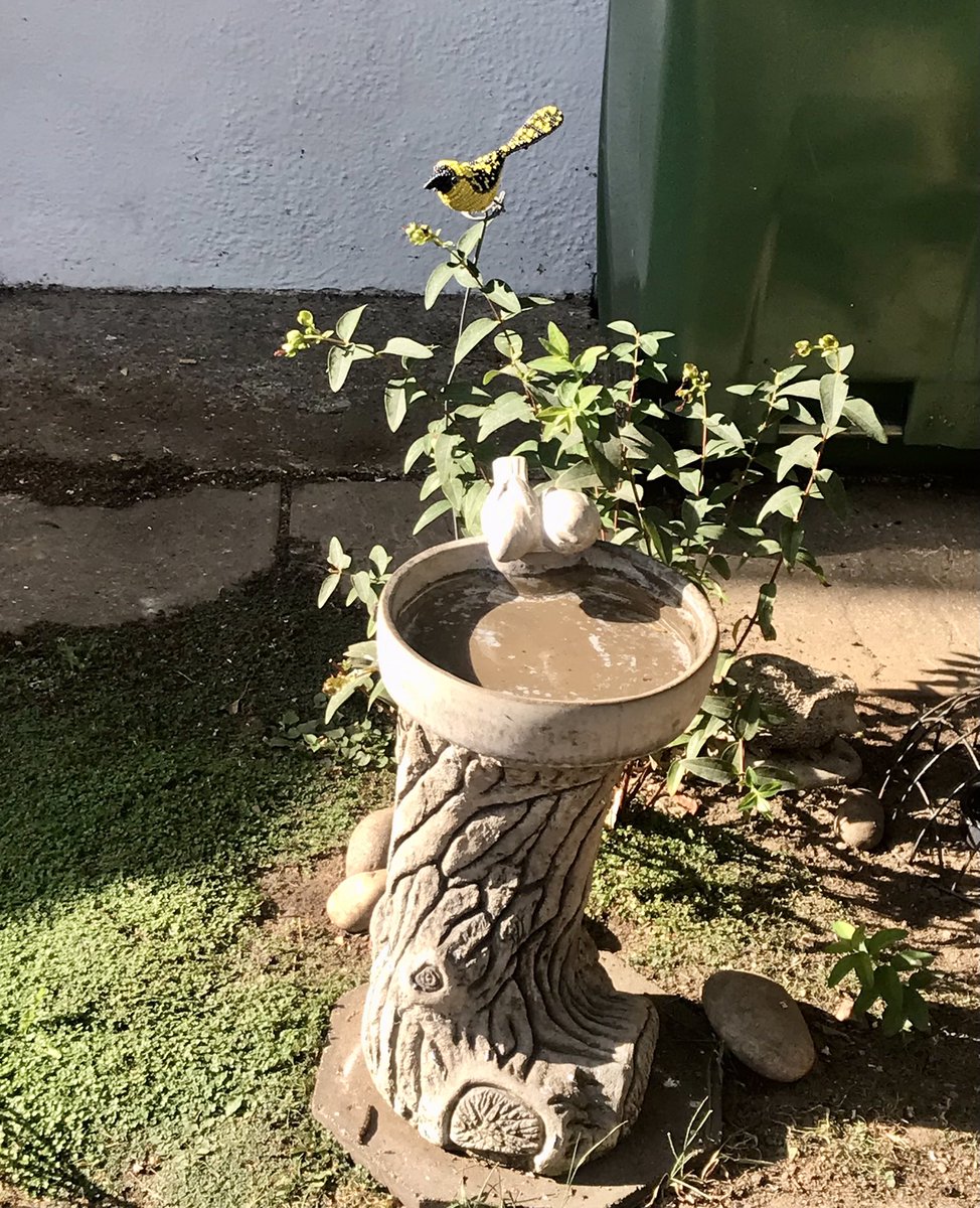 I love looking at people’s front doors on my dog walks.. these three were particularly inviting and say lovely things about the owners 🧡☀️😍