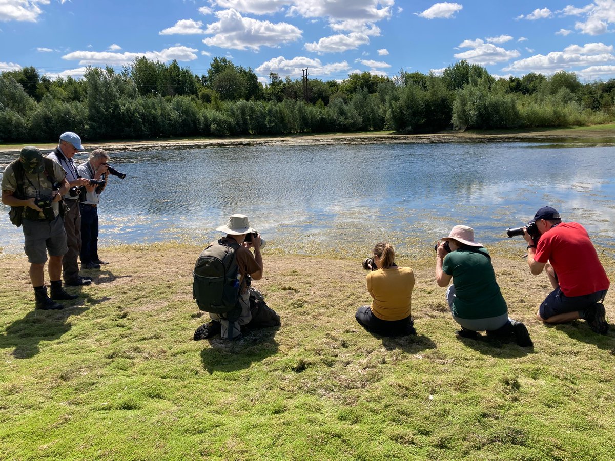 Mark Elsoffer tweet media