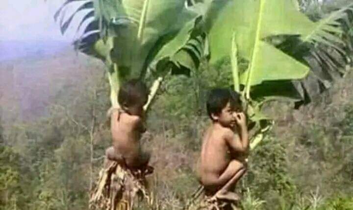 कुनै कुनै ट्विट गर्न लाई क्याप्सन नै चाहिदैन ।