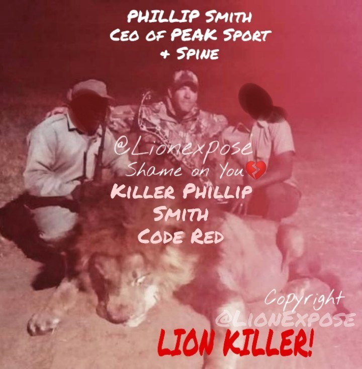 ExposeLion's tweet image. MOPANE, father, king & Pride Leader was Bowed by T. H Phillip Smith of Peak Sport & Spine Missouri on 5/09/21. Mopane suffered for over 20 hours & finished with a bullet. His Killing bought the total Pride Leaders slaughtered around Hwange to over 21. We will never forget💔