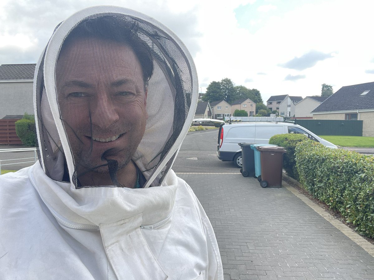 WaspZest's tweet photo. Another few wasps nests completed, more satisfied clients now wasps free ✅💪 https://t.co/fmCuDVuRa2