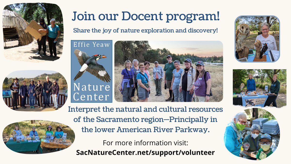 We are currently looking for new Docents to join our volunteer team here at the Effie Yeaw Nature Center! Please visit our website to learn more and to apply: sacnaturecenter.net/support/volunt…