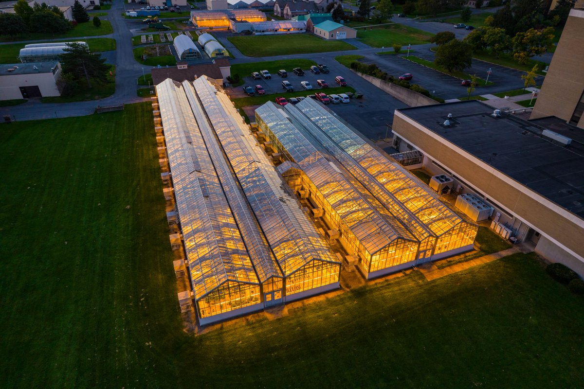 CornellAgriTech's tweet photo. Here are some spectacular birds eye views of our campus, which includes 900 acres of research fields and 500,000 square feet of laboratory space. Next week, you can explore some of these areas in person at our open house on Aug. 13 from 10am-3pm: https://t.co/kRpj8N5tYy https://t.co/k4AJ9xjreo