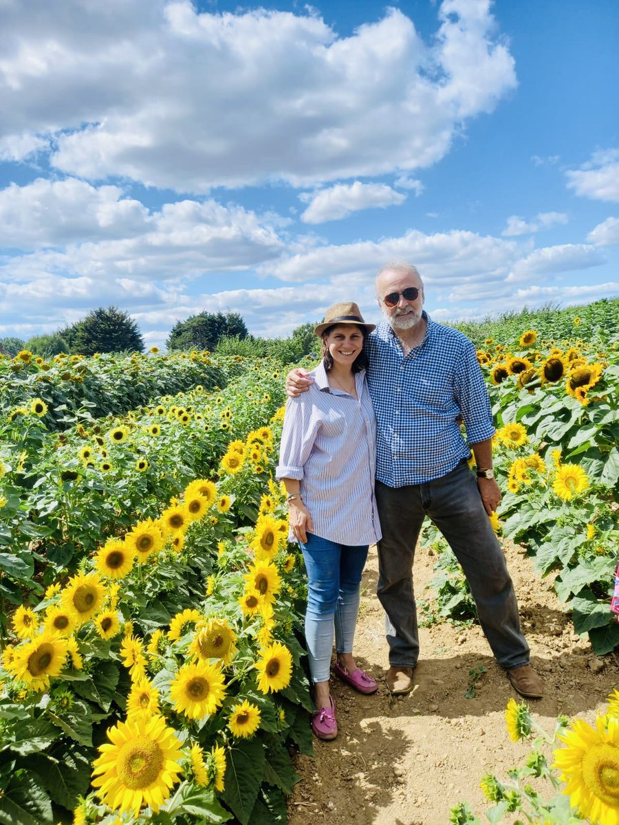 realdannimorgan's tweet photo. The world needs more sunflowers 🌻 #sunflowers🌻 #sunflowerfield #nature #beauty #countryside #coast #southcoast #chichester #runcton #daniellemorgan #johnmerrigan #merriganandmerrigan #westsussex @fatdanmusic @RunctonFarmShop https://t.co/RjAgl8rtur