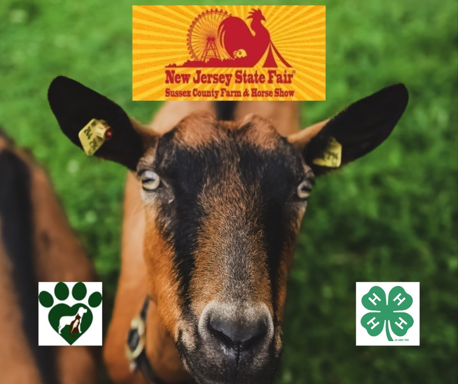 caringvets's tweet image. The fair starts today at 5pm! We would like to wish all the 4H participants good luck this year. If you're headed over to the Fairgrounds, then keep an eye out and say hi to Dr. Spinks &amp;amp; Dr. Monique who will be there providing vet care for the animals!
#SussexCounty #NJStateFair