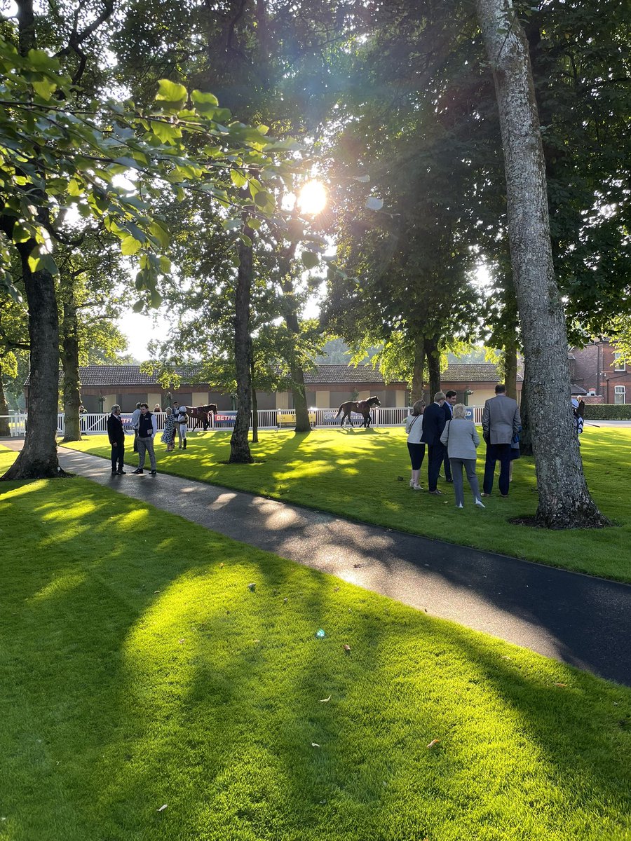 Summer evenings at Haydock Park 🤩