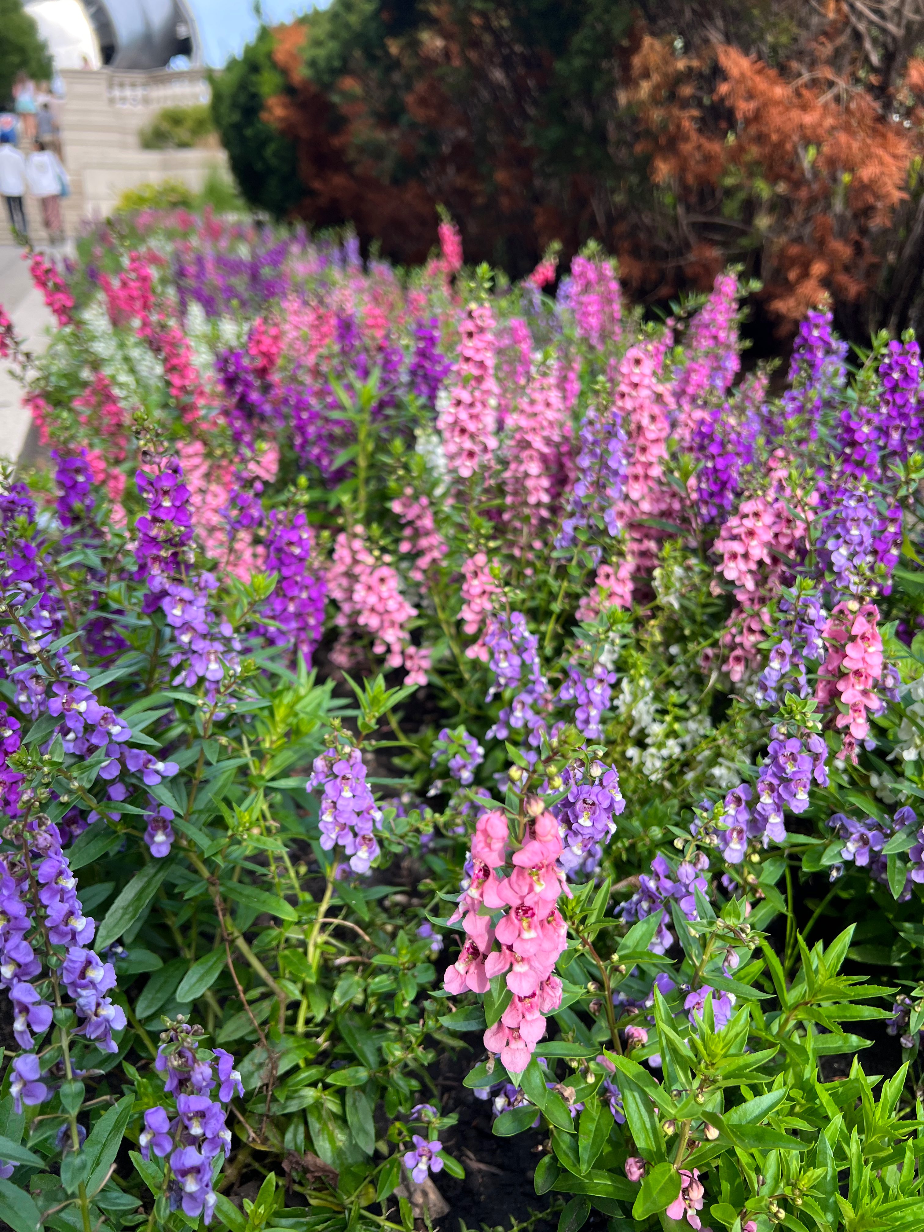 Sir Galahad The Chaste (LadyGERDiva) / Twitter