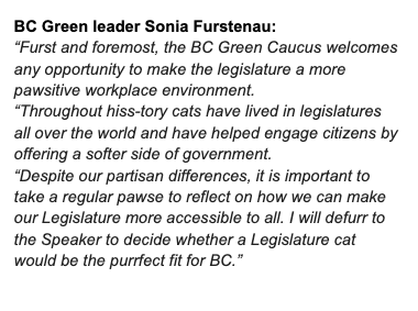 All three political party caucuses at the BC legislature have put partisanship aside and come together in beautiful harmonoious agreement to back the idea of a Legislature Cat.
<a href="/rajchouhan/">Raj Chouhan</a> - on behalf of everyone I doth humbly submit: 
Can we pleeeeeeeeeeeeeeeeeeease have a cat?!