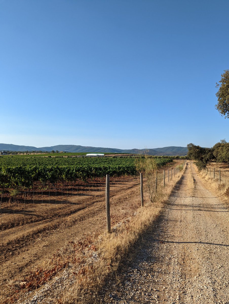 Just finished today's run - first time I've ever done it in my hometown! It was really hot but worth it
<a href="/Lisa_Newington/">Lisa Newington</a> the weekend does not look promising (in terms of exercising, I mean 😅) but I'll do my best! #AHPsActive #WeActiveChallenge  <a href="/WeAHPs/">WeAHPs 💙</a>