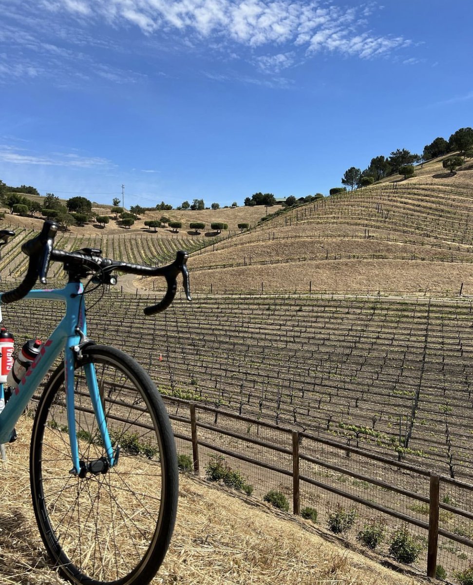 cyclecalcoast's tweet photo. Definitely not going to wine about the view. 😁🚲🍇

📍Ballard Canyon Rd in Los Olivos, CA

Cycle Santa Ynez Valley: https://t.co/9qNinyd8mD

#CycleCalCoast cycling photo via @loyalbikefitting 📸
.
.
.
.
#cycling #cyclist #losolivos #santaynez #santabarbara https://t.co/3m6WbelQ1P