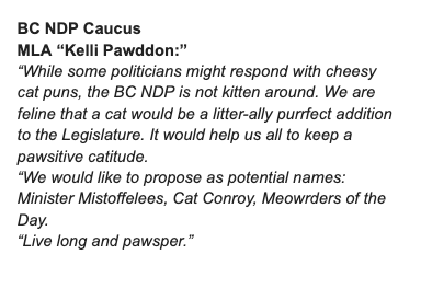 RobShaw_BC's tweet photo. All three political party caucuses at the BC legislature have put partisanship aside and come together in beautiful harmonoious agreement to back the idea of a Legislature Cat.
@rajchouhan - on behalf of everyone I doth humbly submit: 
Can we pleeeeeeeeeeeeeeeeeeease have a cat?! https://t.co/aHChwk1crk