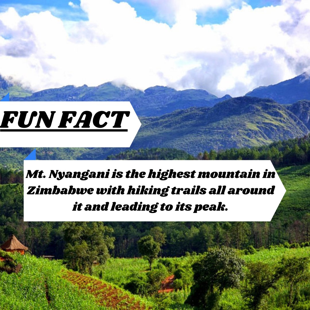 Kuva Local tweet media