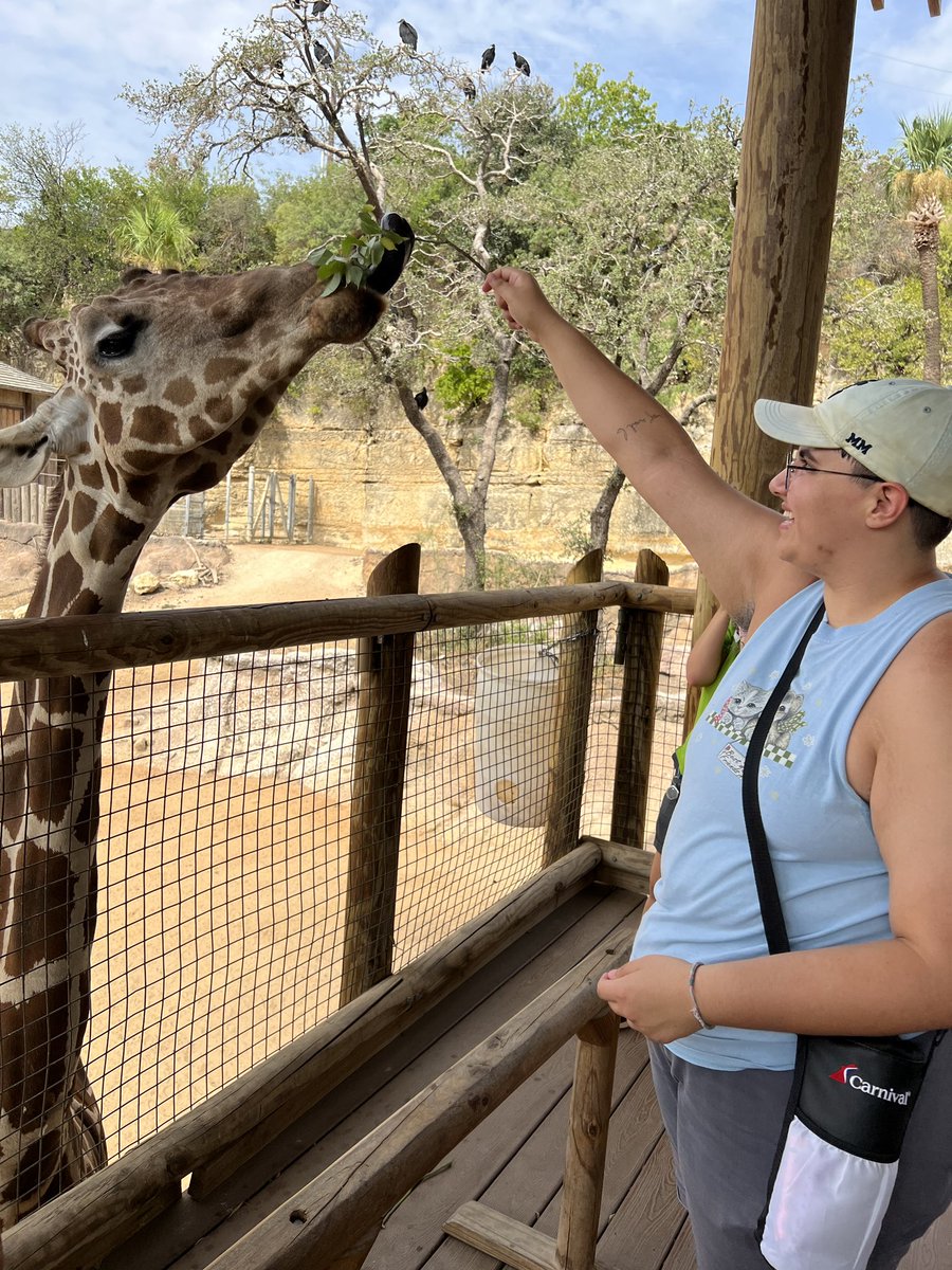 Had a great morning at the zoo for our @NISDMead retreat! Did a scavenger hunt, fed the giraffes, and had lunch with my new Discovery friends! Looking forward to the school year 🦒💚 #WildAboutLearning