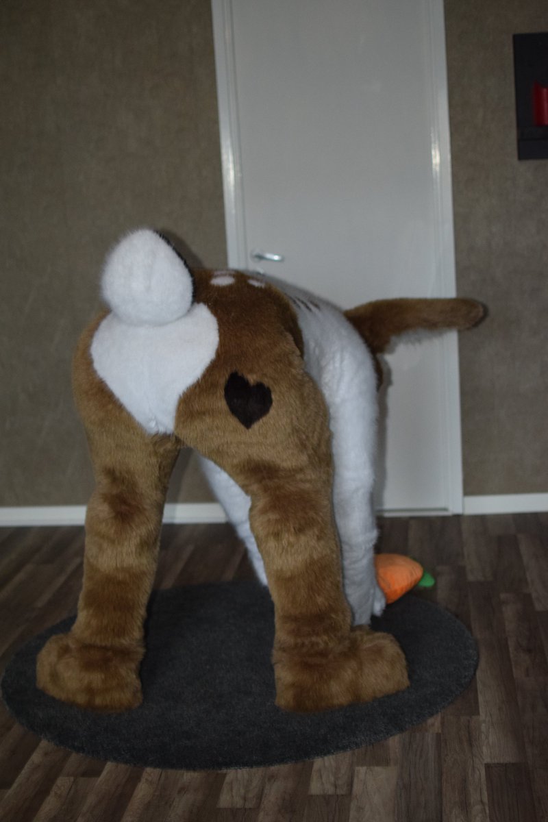 Ooooh a carrot ! i love carrots🐰
#FursuitFriday 

📸@ WolfSwea