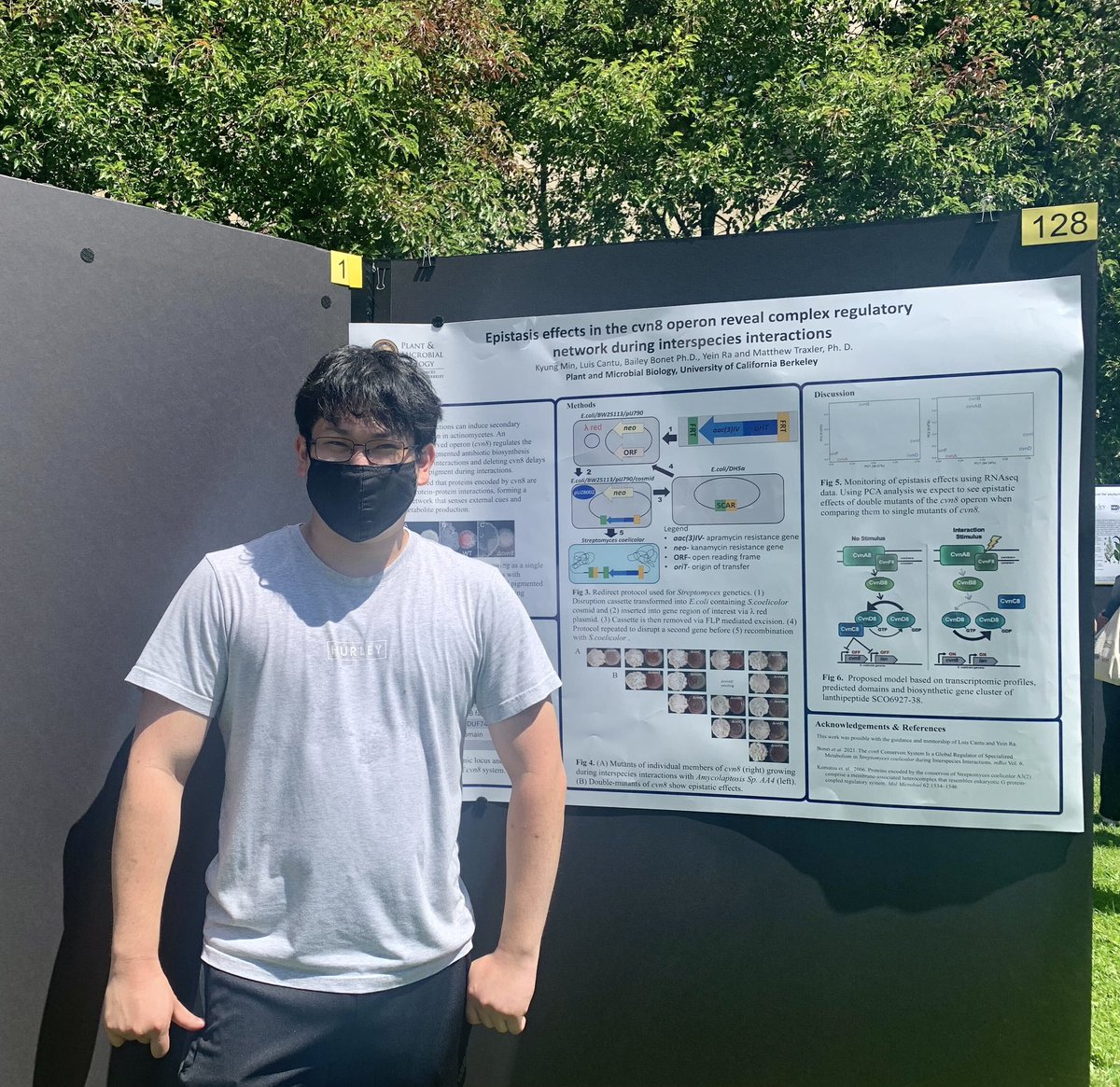 Yoon Min sharing his stellar Streptomyces genetics work in our lab with this awesome poster at the @PMB_Berkeley Undergrad Summer Poster Session! Congrats to all who presented!