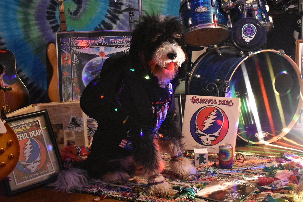 nettiequette's tweet photo. @stauaj @SIRIUSXM @GratefulDead @BigSteveParish @jerrygarcia @WSDAH @reonegro Once in awhile you get shown the light ๐โก๏ธ๐น๐ถโจ๏ธ in the strangest of places if you look at it right #daysbetween #jerryweek #furevergrateful https://t.co/TLxQ8uH5mF