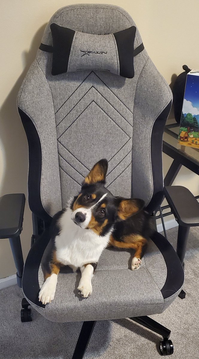 Yesterday on stream I put together my new Champion Series chair from <a href="/EwinRacing/">EwinRacing</a>. Today the boss asked, "What do you mean, 𝑦𝑜𝑢𝑟 chair?"