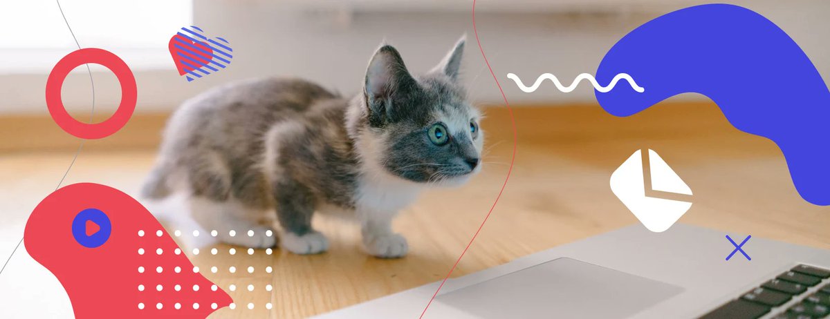 inflact tweet media