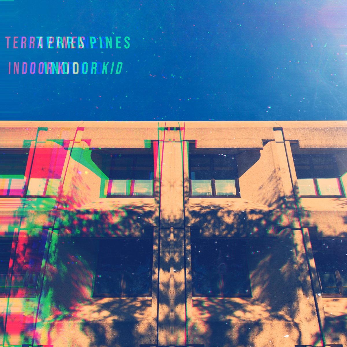 Terra Pines tweet media