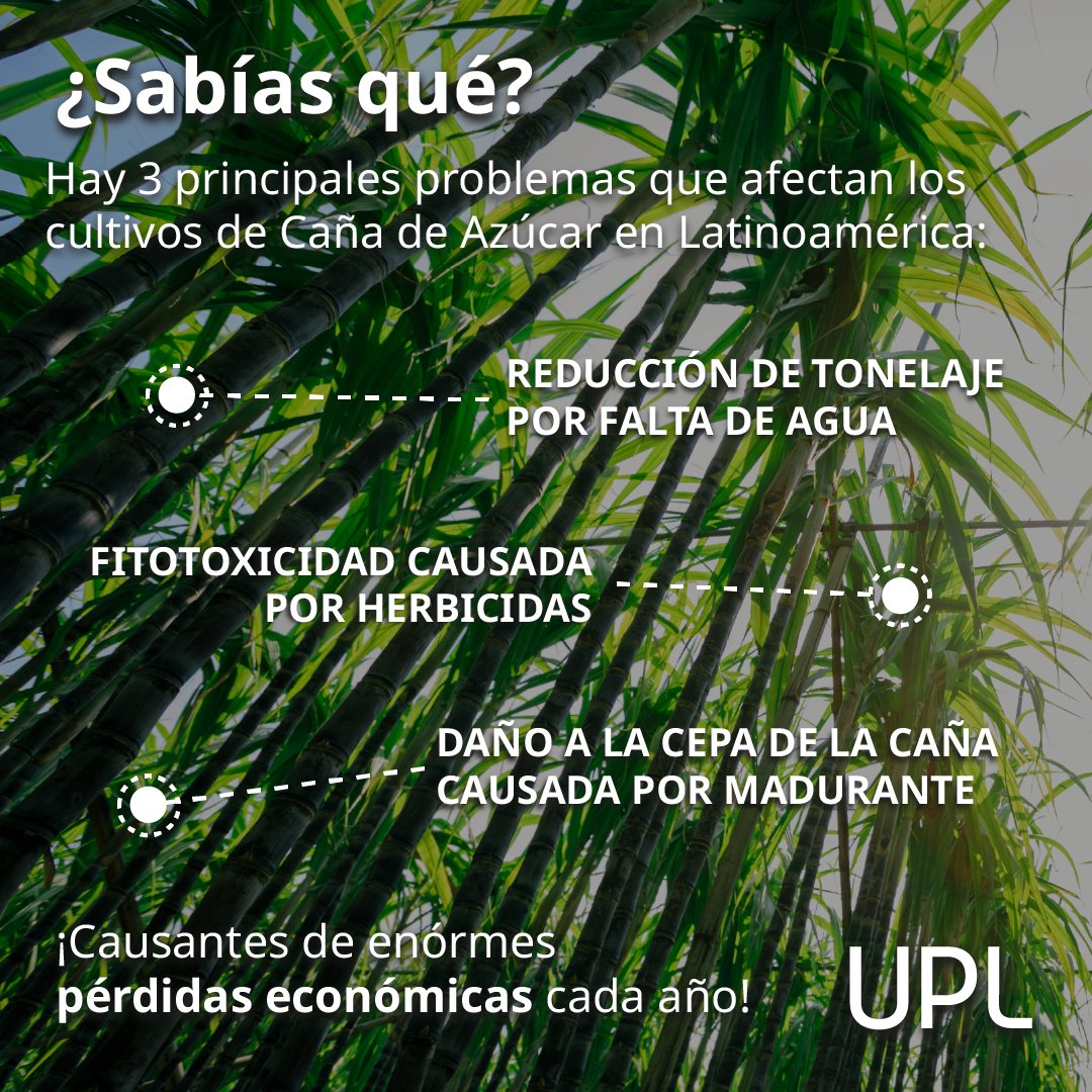LatamUpl's tweet photo. BIOSOLUCIONES UPL, incrementa la productividad, cuidando el medio ambiente.
#Biosoluciones #NPP #UPLLATAM #OpenAg #UPL #Cultivos #Agricultores #Zeba #Kfol #Optimat https://t.co/Tl00YPkyCD