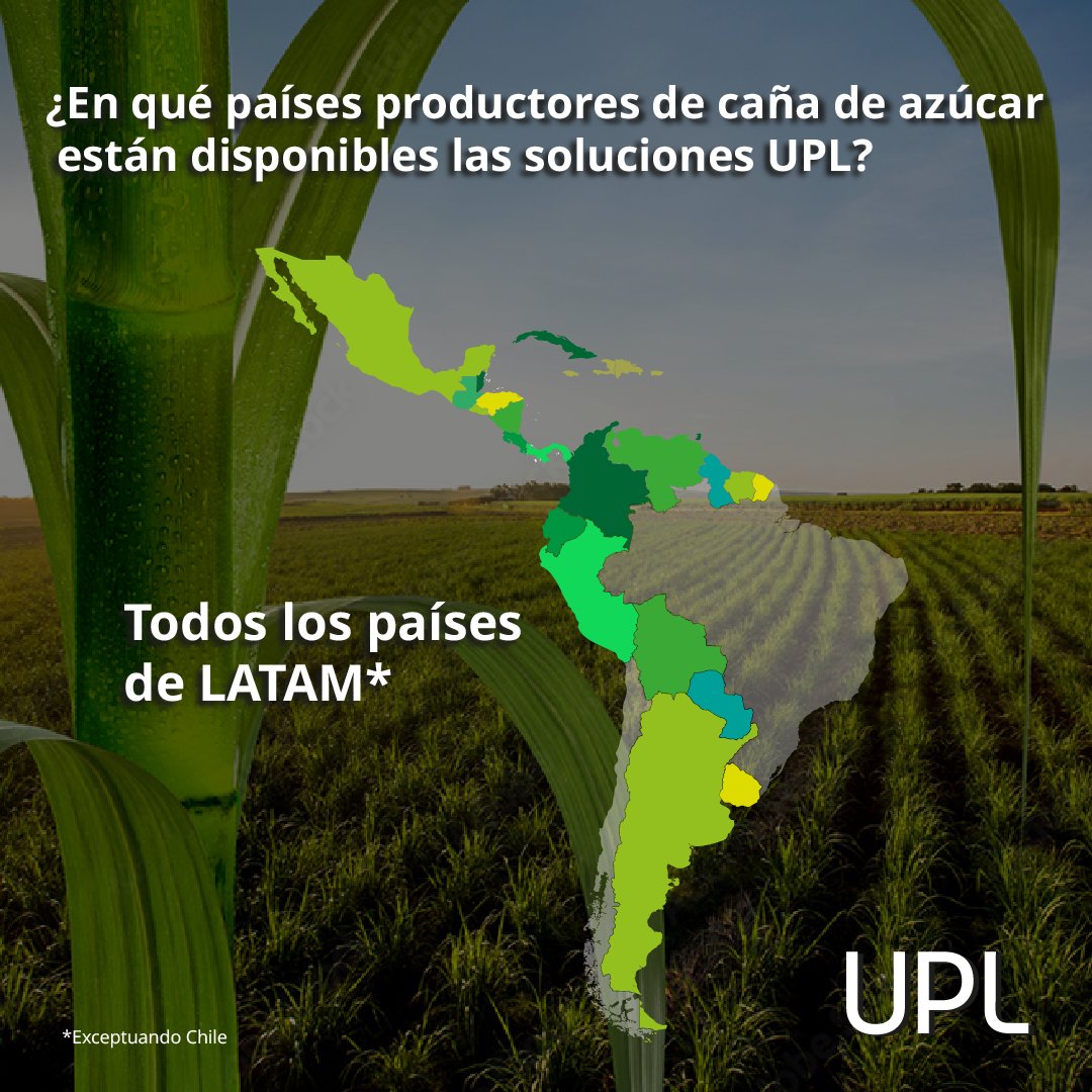 LatamUpl's tweet photo. BIOSOLUCIONES UPL, incrementa la productividad, cuidando el medio ambiente.
#Biosoluciones #NPP #UPLLATAM #OpenAg #UPL #Cultivos #Agricultores #Zeba #Kfol #Optimat https://t.co/Tl00YPkyCD
