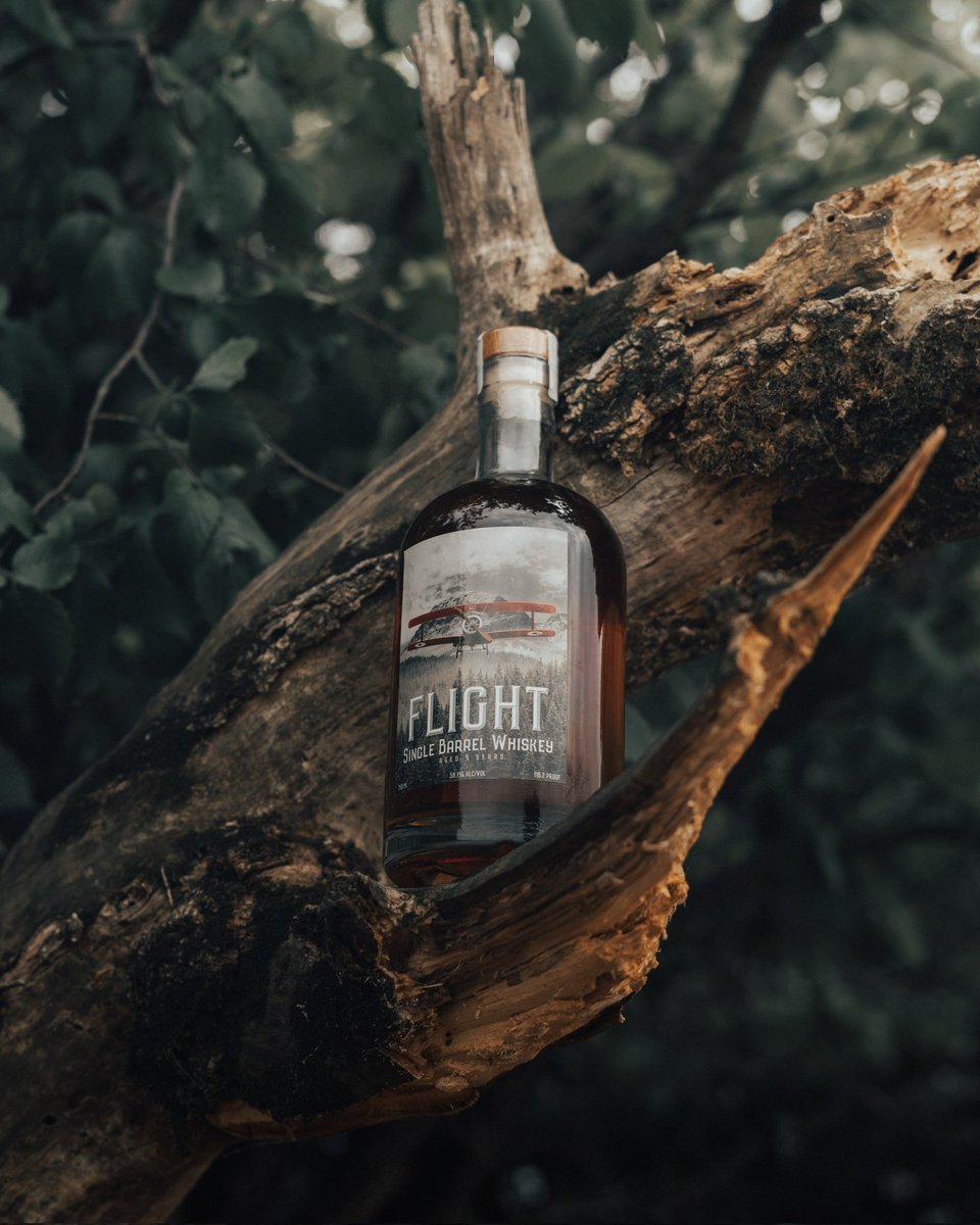 FlightWhiskey's tweet photo. I'm not saying we have a time machine but sounds like Da Vinci was a fan!
“Once you have tasted flight, you will forever walk the earth with your eyes turned skyward, for there you have been, and there you will always long to return."
-Da Vinci
#Flight212 #Flight1903 #Flight8080 https://t.co/FmHJX79Gpb