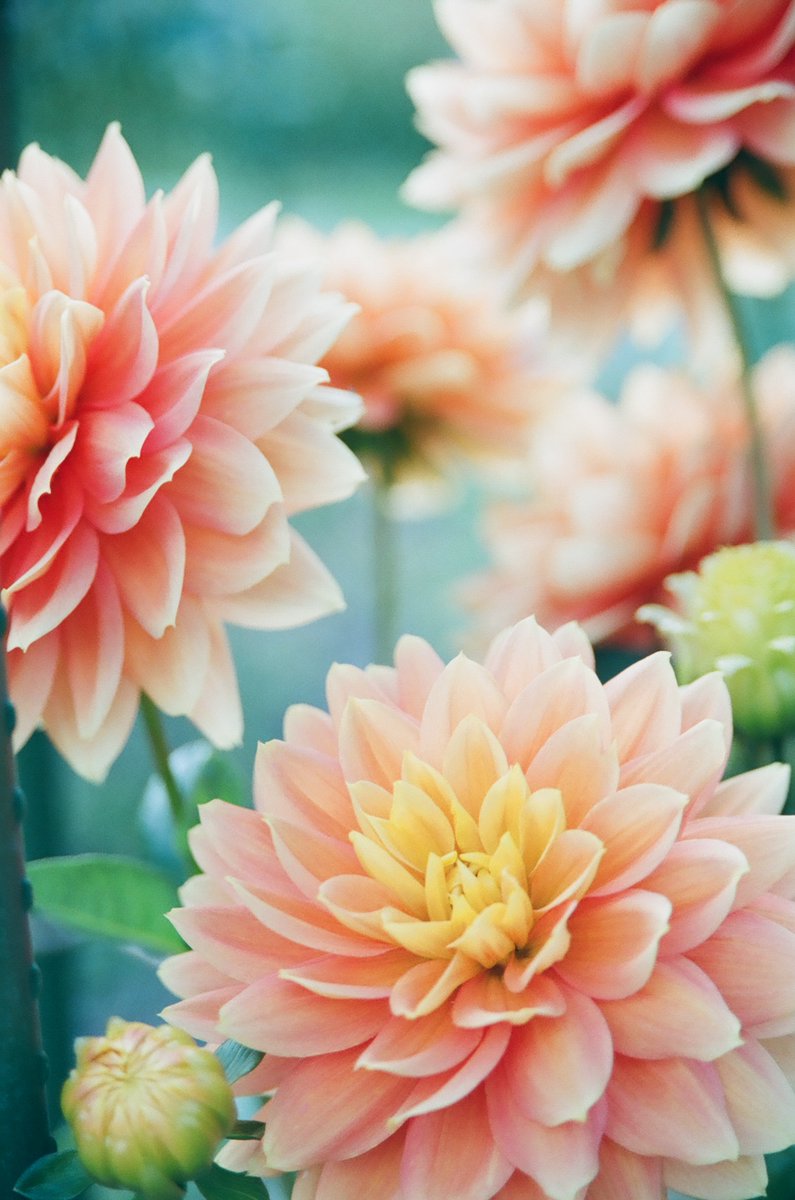 MsgfromIslam's tweet photo. Whenever you need self care, care for your soul with dhikr (remembrance of #Allah), and you will flourish. How noble is the connection between you and your Creator!  #Friday  #FridayVibes #Islam #selfcare #spirituality #spiritualawakening #Motivation #InspirationalQuotes https://t.co/LnCV1fQGSq