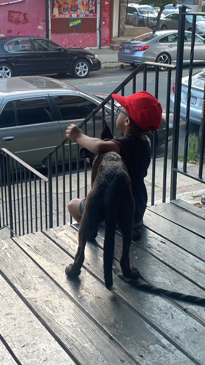 haqq_dabarber's tweet photo. Khalid &amp; Zola #Malinois #belgin #workingdog #familyprotector https://t.co/xe929BnY1E
