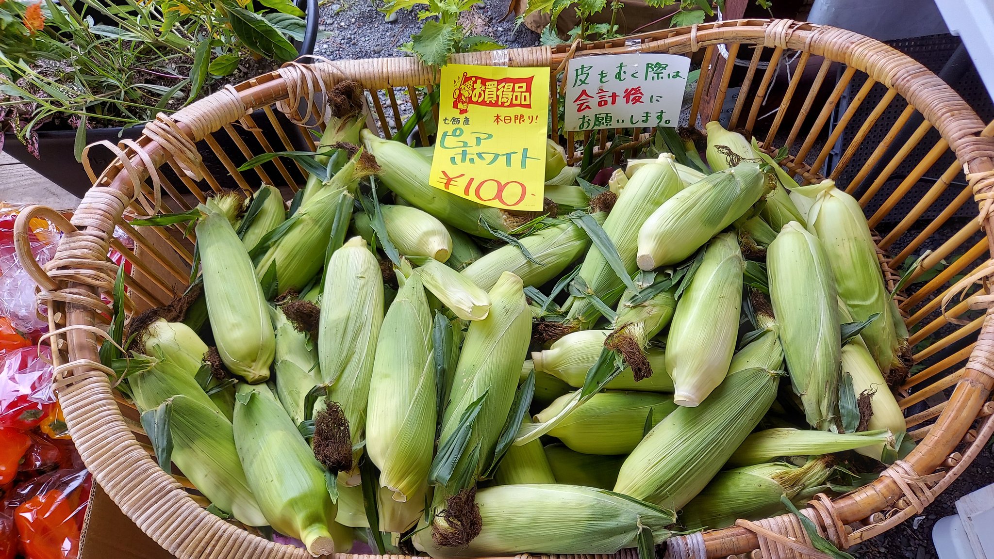 北海道☆お野菜屋さん 🅕𝕚𝕕𝕘𝕘𝕖🅦𝕠𝕣𝕜𝕖𝕣&🅒𝕠. (@fidggeworker0808