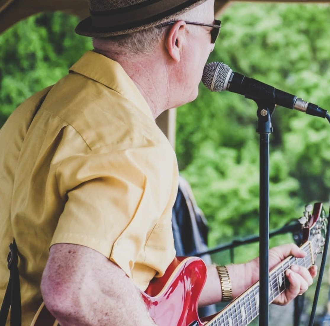 RiverFoxTrain tweet media