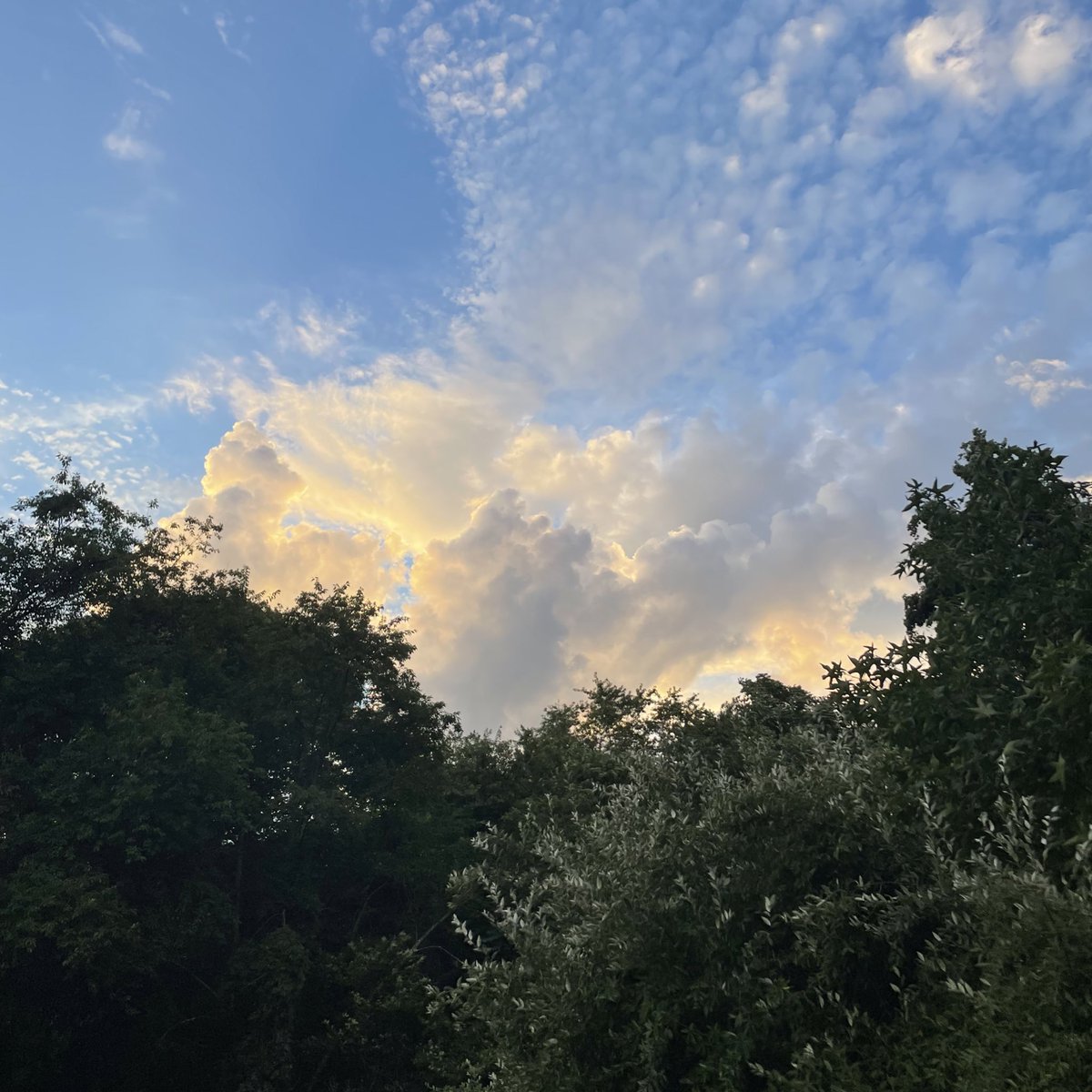 111trap's tweet image. omgg baby rainbow