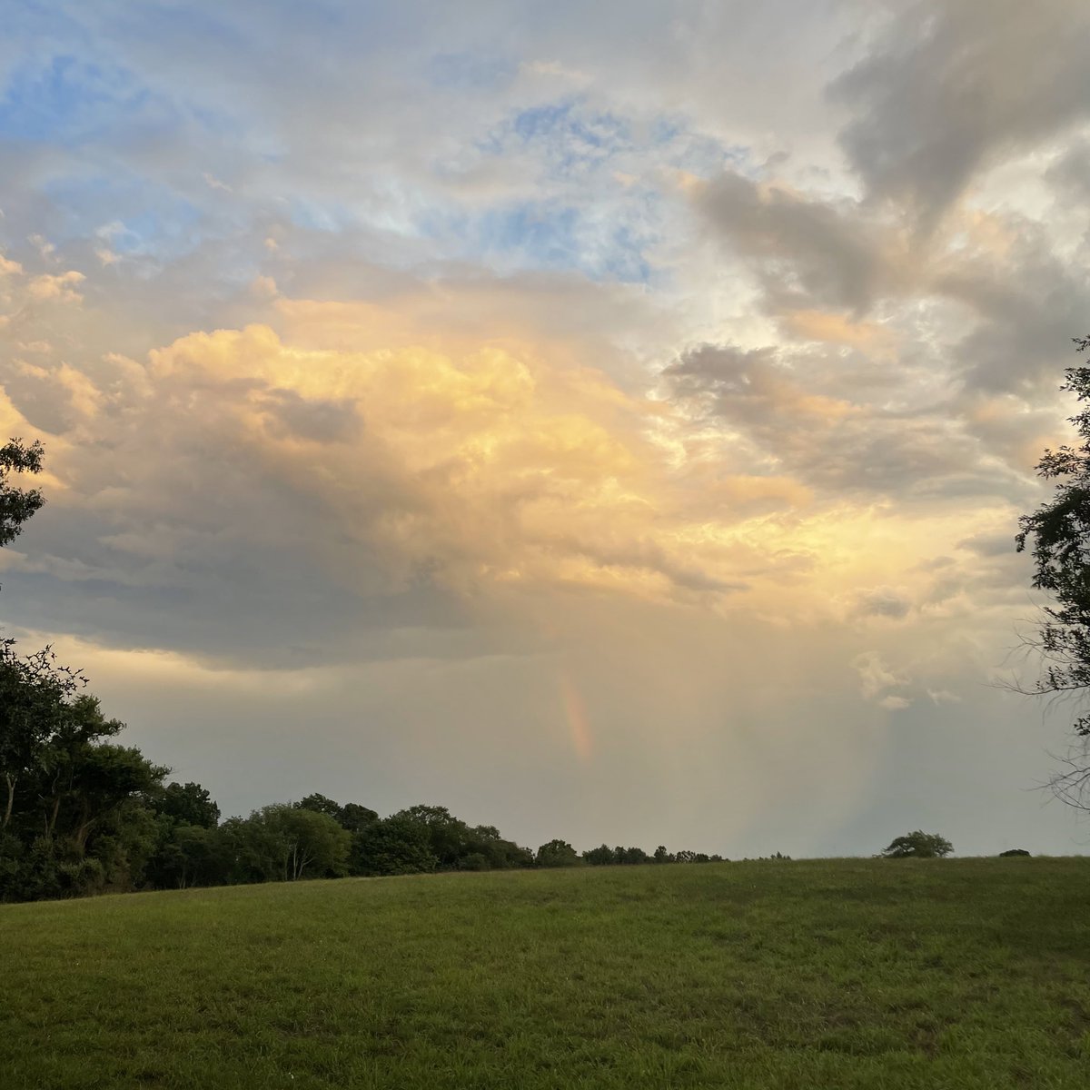 111trap's tweet image. omgg baby rainbow