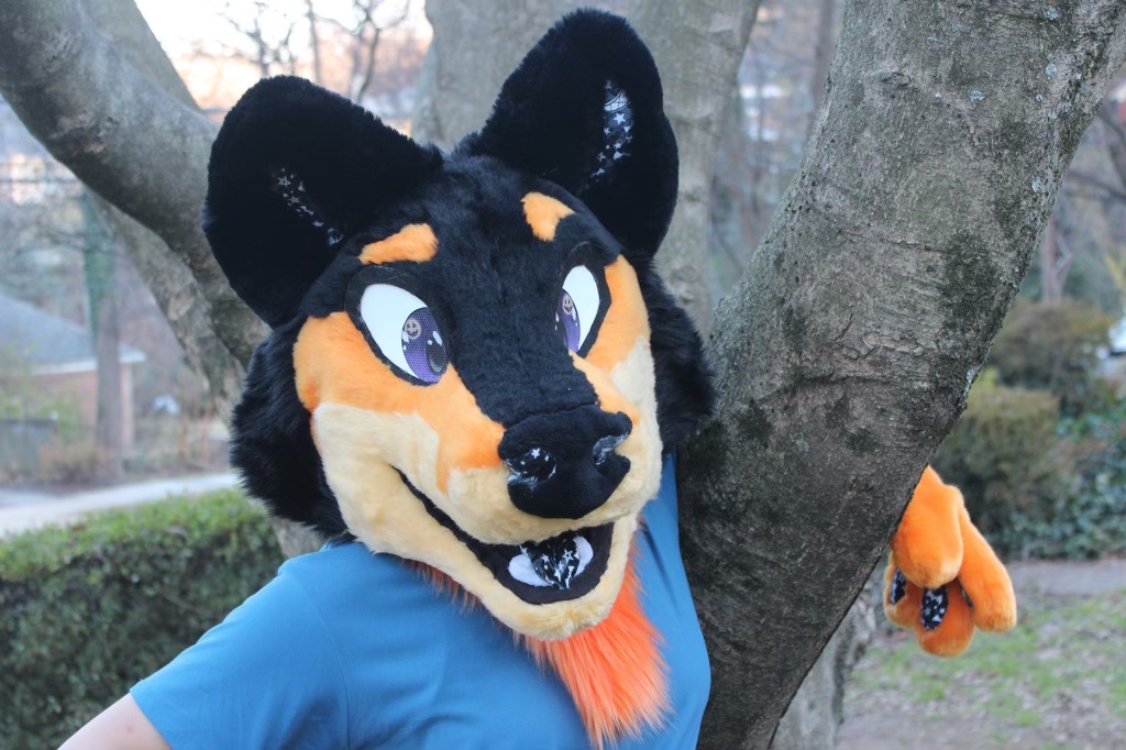 Starry_Lanterns's tweet photo. Hey folks! I know I haven’t been too active here lately but I’m looking at fursuit trades! Lantern is 3 years old, lightly used, and made by @dmcostumes. I bought him for $460 (plus shipping). I’m especially looking for cow suits but I’ll look at anything!
#fursuittrade https://t.co/xTAFlV7aEB