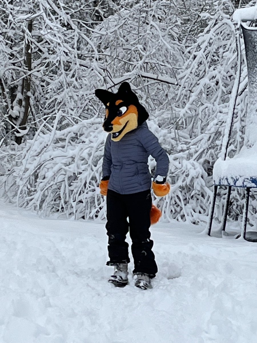 Starry_Lanterns's tweet photo. Hey folks! I know I haven’t been too active here lately but I’m looking at fursuit trades! Lantern is 3 years old, lightly used, and made by @dmcostumes. I bought him for $460 (plus shipping). I’m especially looking for cow suits but I’ll look at anything!
#fursuittrade https://t.co/xTAFlV7aEB
