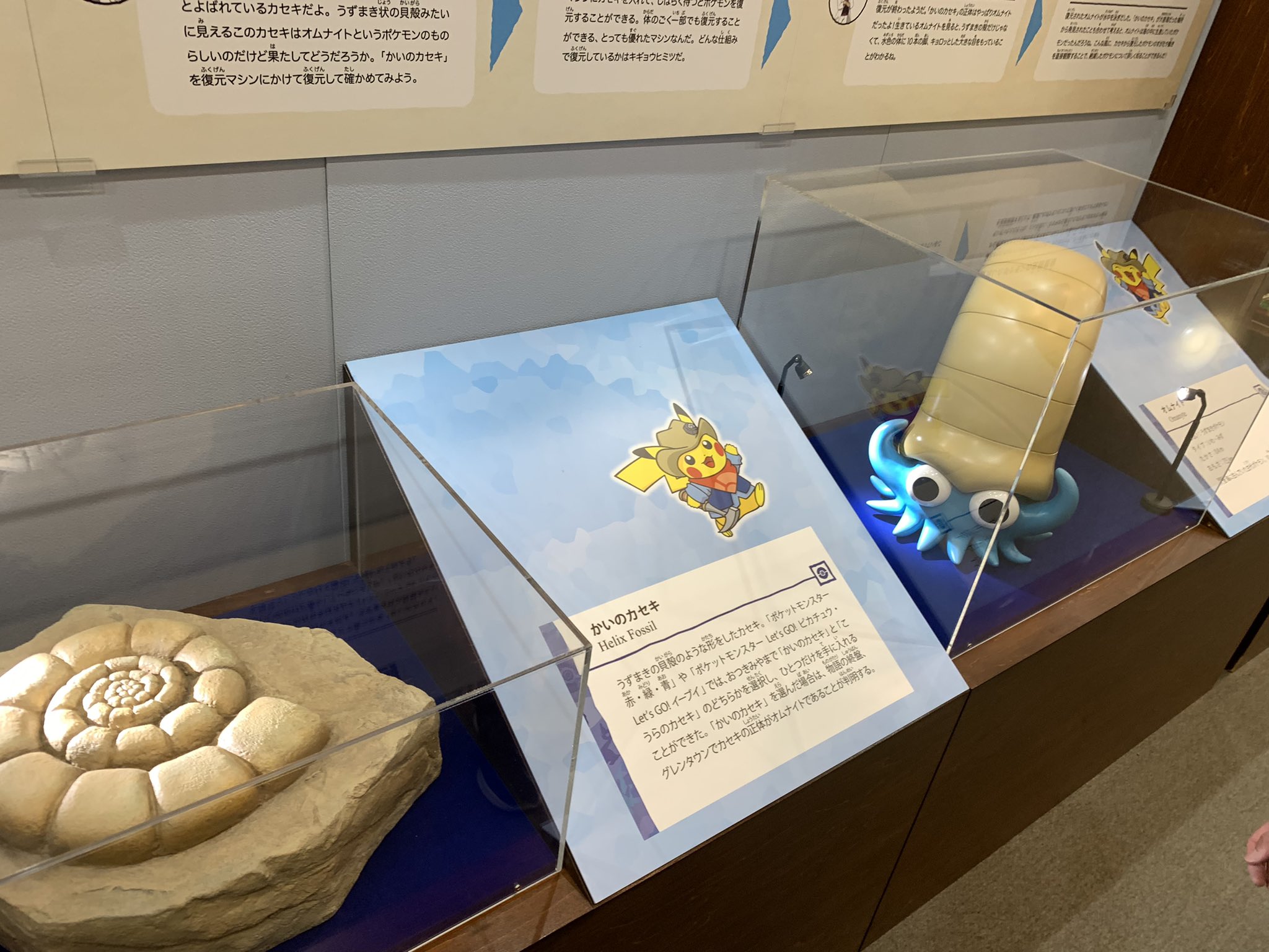 夢工場 No Twitter ポケモン世界の話が本当に博物館の展示のように書かれてて興奮しっぱなしだった ポケモンのイラストも全部書き下ろしだったし 凝りに凝っている 他にもカンムリ雪原の野生化した化石ポケモンにも触れられてたり初代から現在までのポケモンについて